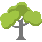 San Mateo Tree Removal Service