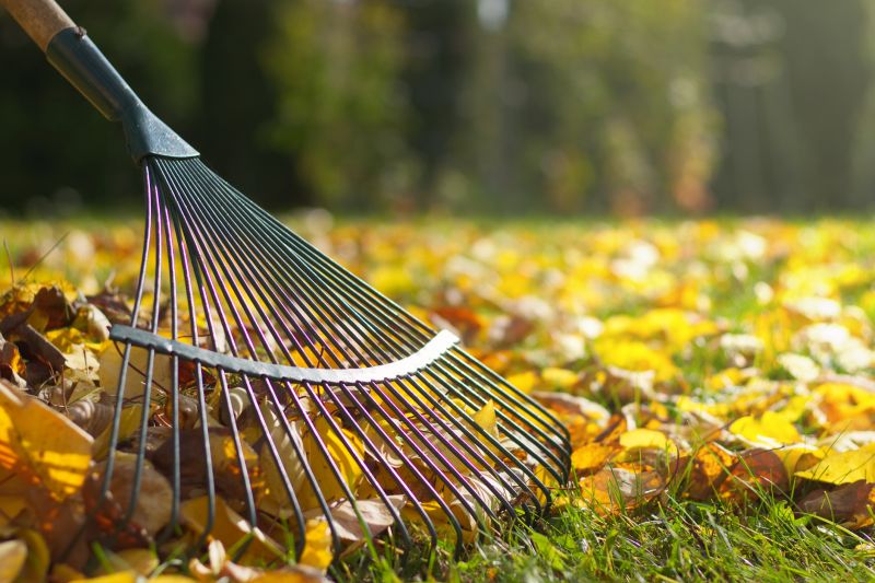 Leaf Raking