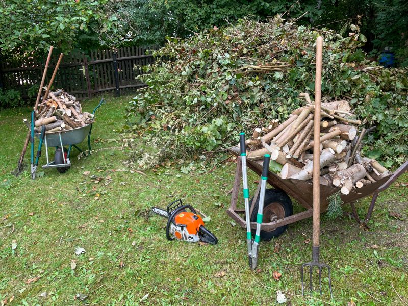 Clearing Debris