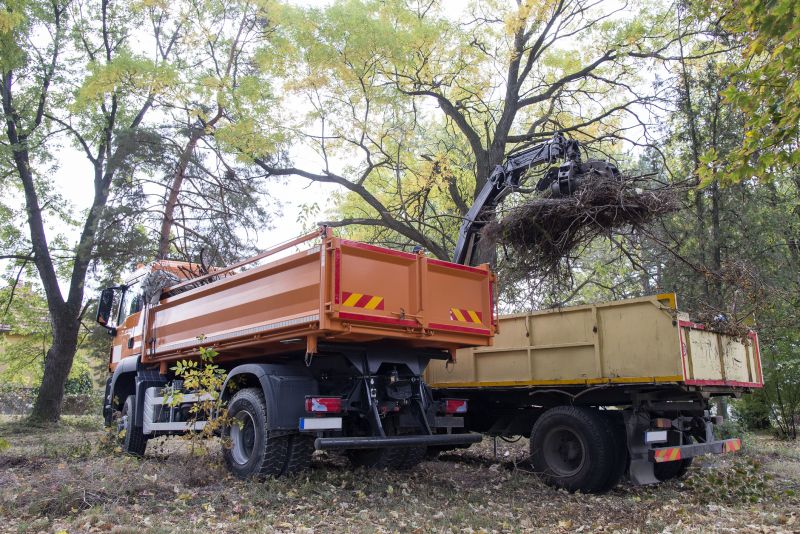 Tree Removal Truck