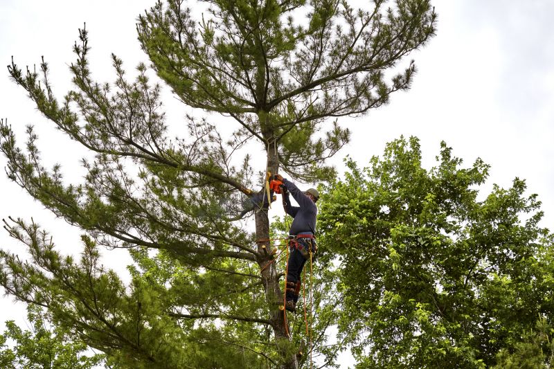 Experienced Crew at Work