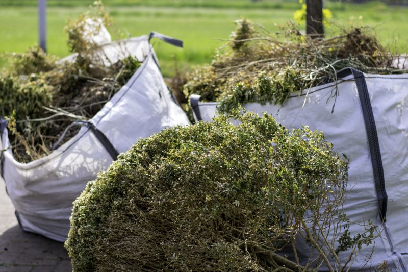 Proper Disposal of Debris