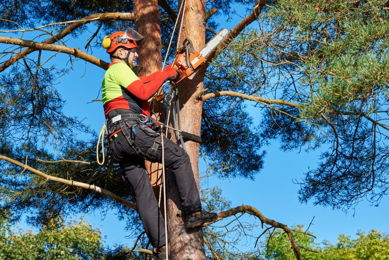 Safety Equipment in Use