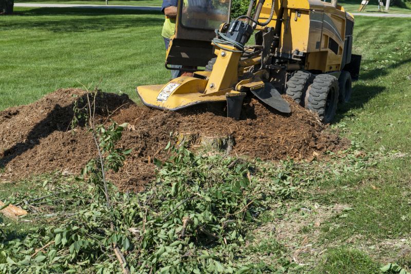 Stump Removal Process