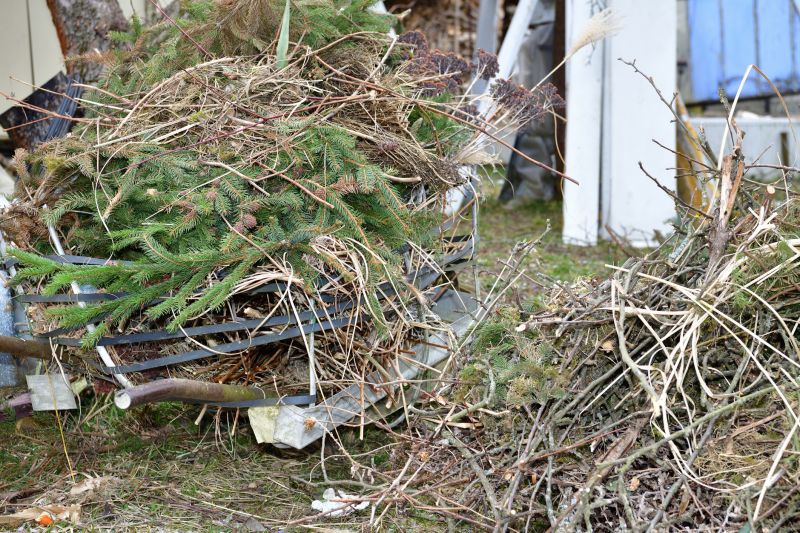 Proper Disposal of Waste
